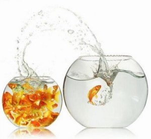 outside-comfort-zone-e1347242028339