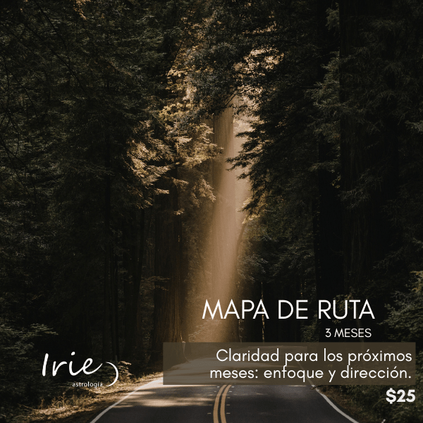 Comprar: Mapa de Ruta (3 meses)