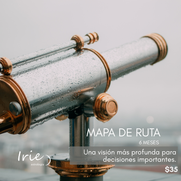 Comprar: Mapa de Ruta (6 meses)